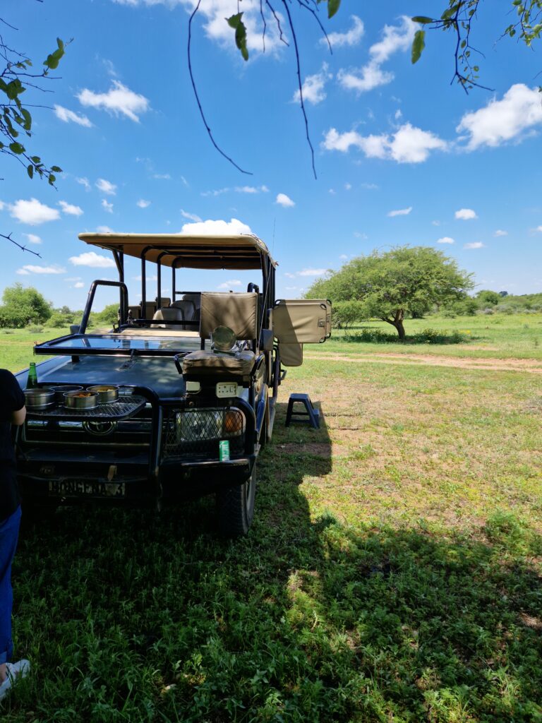 Open game drive vehicle