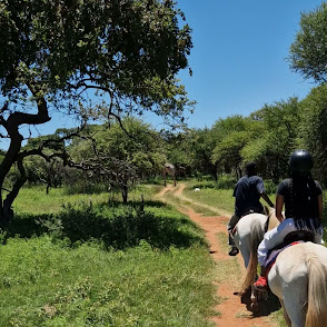 horseback safari with a giraffe