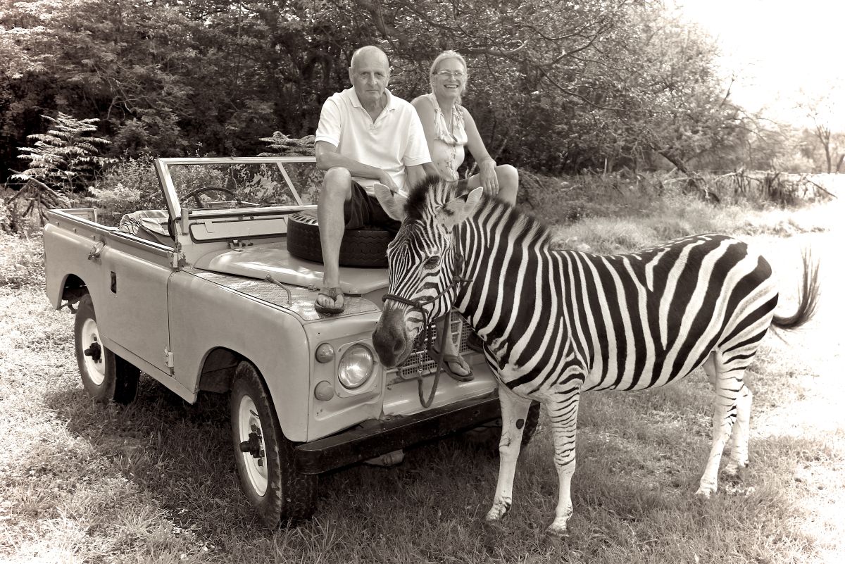 sitting on the landrover with 2 zebras